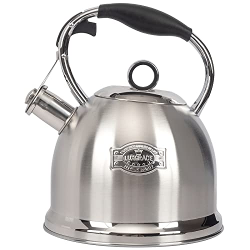 Tea Kettle for Stovetop