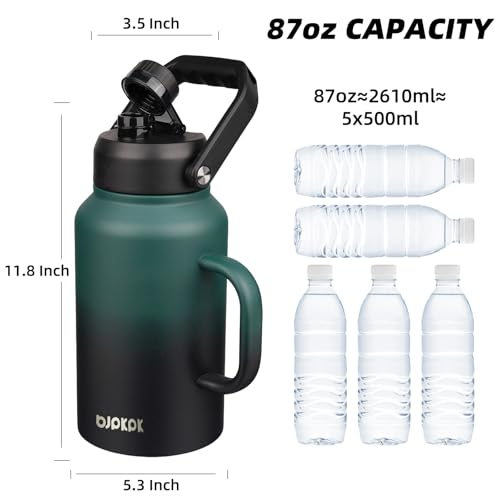 87oz Stainless Steel Water Bottle