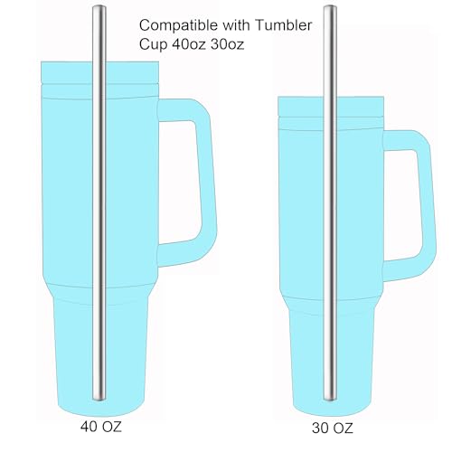 dcieiosul Set of 4 Reusable Metal Straws (4 Count)