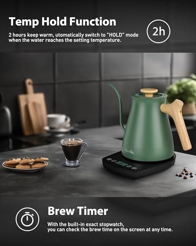 Gooseneck Electric Kettle