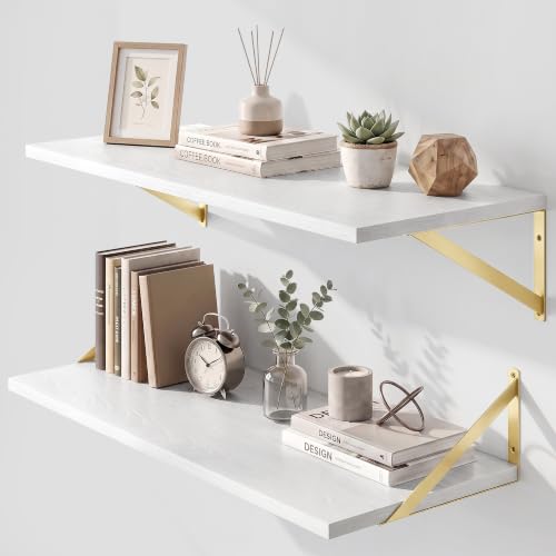 Wall Mounted Floating Shelves Set of 2 (2 Count)