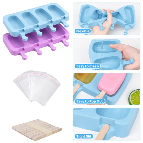 Popsicle Molds Set of 2
