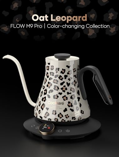Gooseneck Electric Kettle