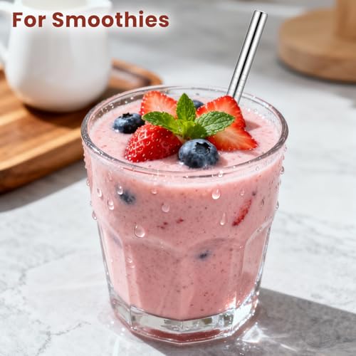 10Pcs Short Metal Straws (10 Count)