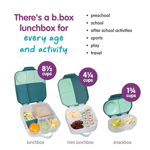 Snack Box Snack Containers for Kids
