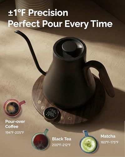 Gooseneck Electric Kettle