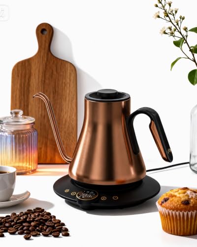 Gooseneck Electric Kettle
