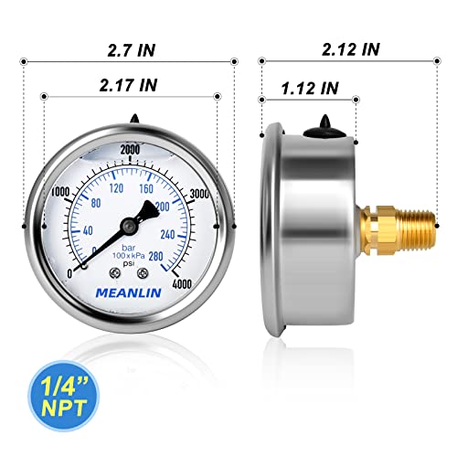 0~4000Psi Stainless Steel 1