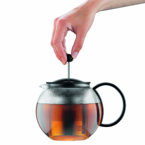 34oz Assam Glass Tea Press with Stainless Steel Filter
