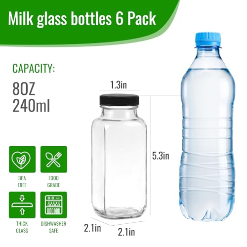 8 oz 6 Pack Glass Juice Bottles with Lids (6 Count)
