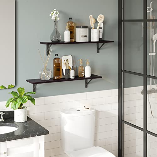 Long Wall Shelves (2 Count)