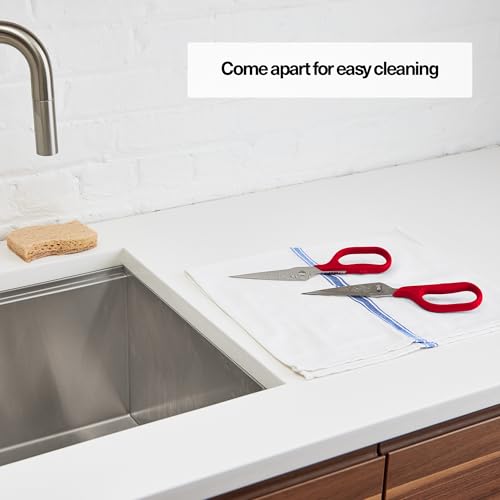 Heavy Duty Kitchen Shears