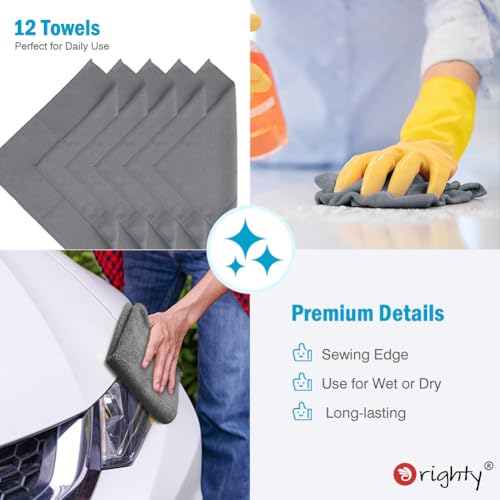Microfiber Cleaning Cloth (12 Count)