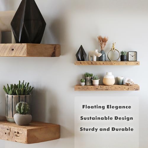 Reclaimed Barnwood Planks (2 Count)