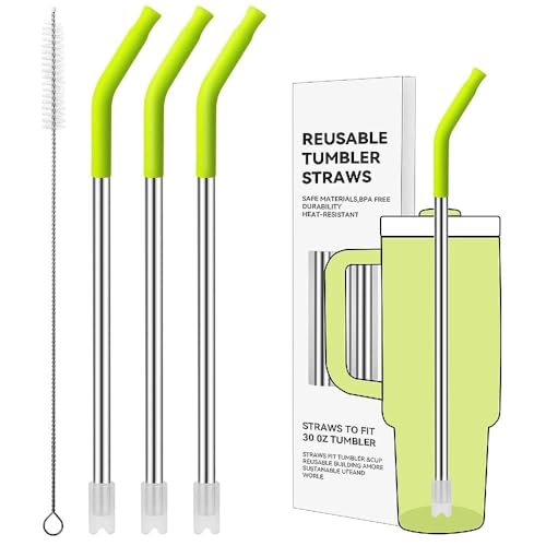 Straight Metal Straws for Stanley 30oz