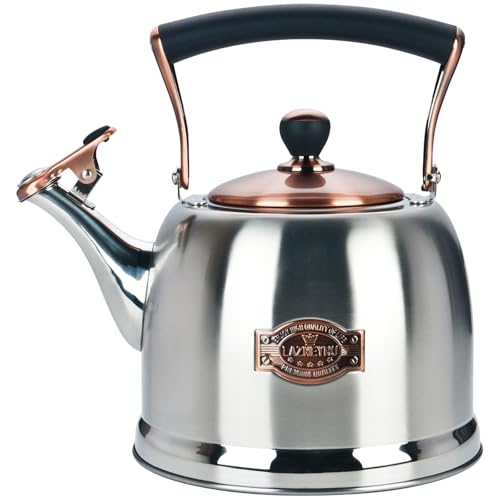 Tea Kettle Stainless Steel Teapot