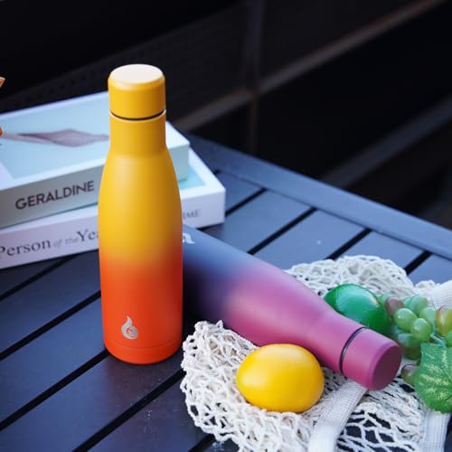 25 oz Insulated Stainless Steel Water Bottle