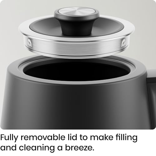 Gooseneck Electric Kettle