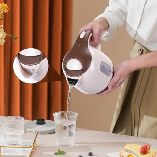 Small Electric Kettle