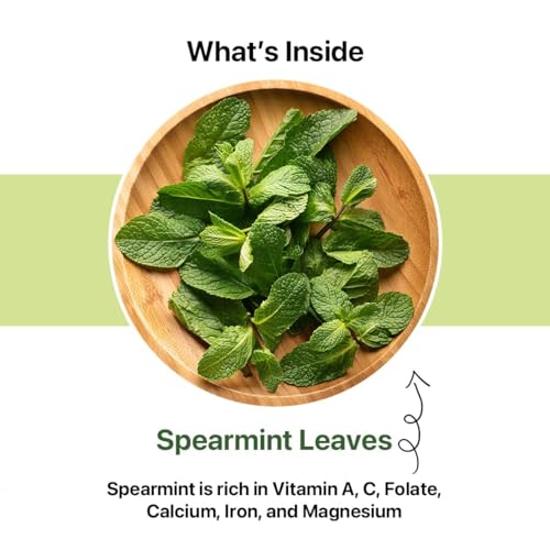 Spearmint Tea (100 Count)