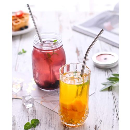 Set of 10 Stainless Steel Straws (12 Count)