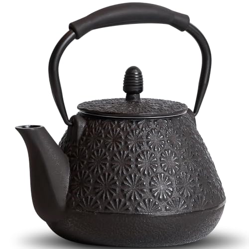 Cast Iron Teapot