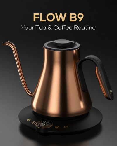 Gooseneck Electric Kettle