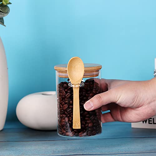 Glass Jar with Bamboo Lid and Spoon (3 Count)