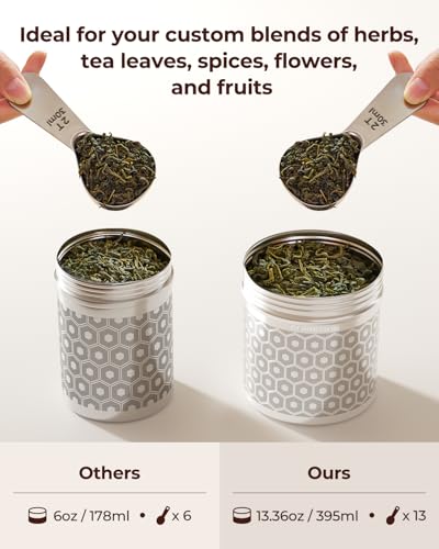 2 Pack Extra Large Tea Infuser for Loose Leaf Tea & Spice Ball (2 Count)