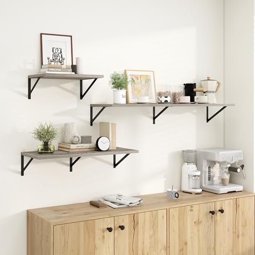 Wall Mounted Floating Shelves Set of 2 (2 Count)
