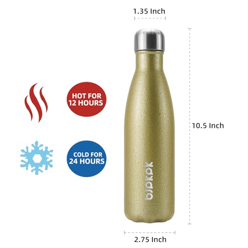 17 oz Small Insulated Water Bottle