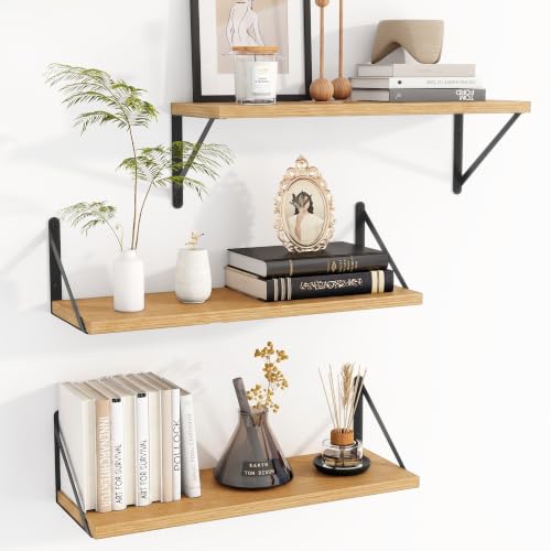 Floating Book Shelves for Wall