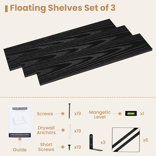 Floating Book Shelves for Wall (3 Count)