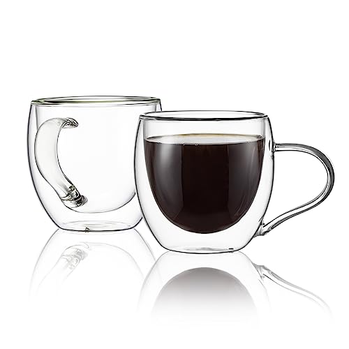 Double Wall Glass Coffee Mugs with Handle (2 Count)
