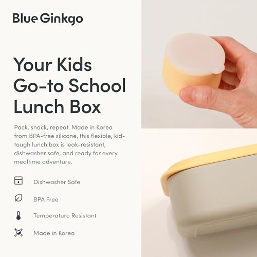 Bento Style Silicone Lunch Box Set