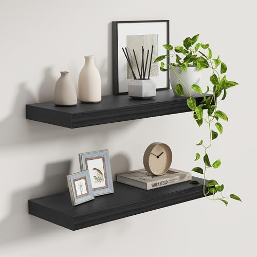 Black Floating Shelves 24 Inch Long (2 Count)