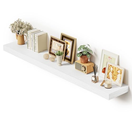 Deep Floating Shelves 55x10” Set of 1