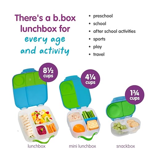 Snack Box 2 Pack (2 Count)