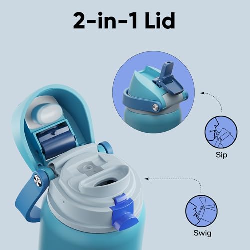 Insulated Water Bottle with Straw
