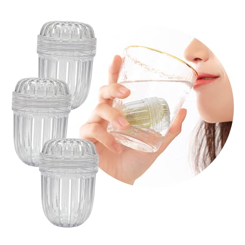 3PCS Small size Fruit Infuser for Wide Mouth Bottles. (3 Count)