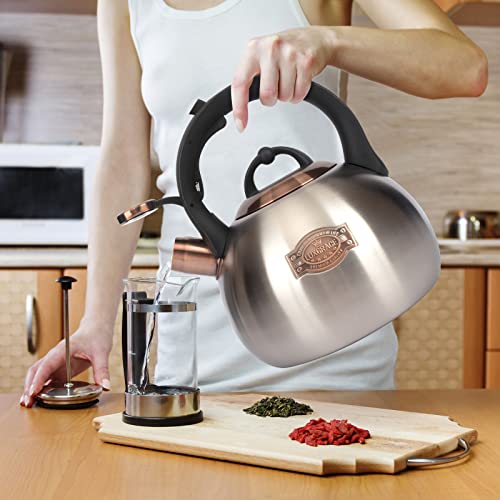 3.1 Quart Teal Whistling Tea Kettle for Stove Top