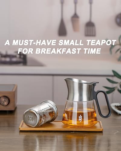 17 oz Small Glass Teapot with Infuser For Loose Leaf Tea Steeper