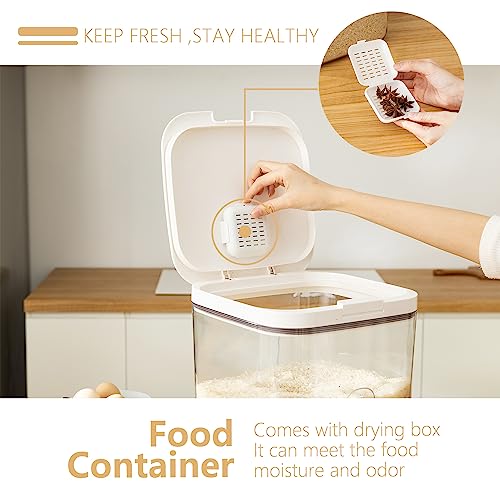 Rice Dispenser 10Lbs