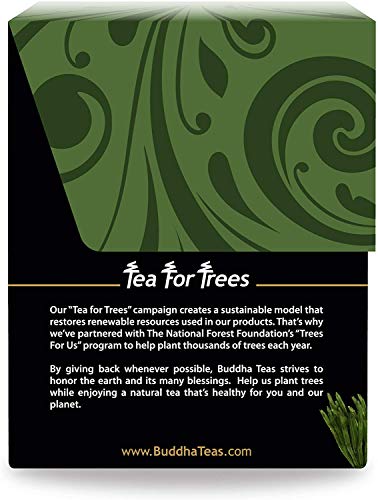 Horsetail Organic Herbal Tea (18 Count)