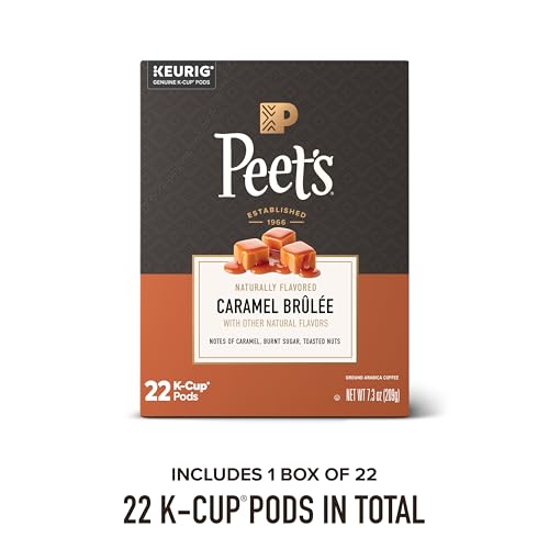 Coffee Pods Medium Roast (22 Count (Pack of 1))