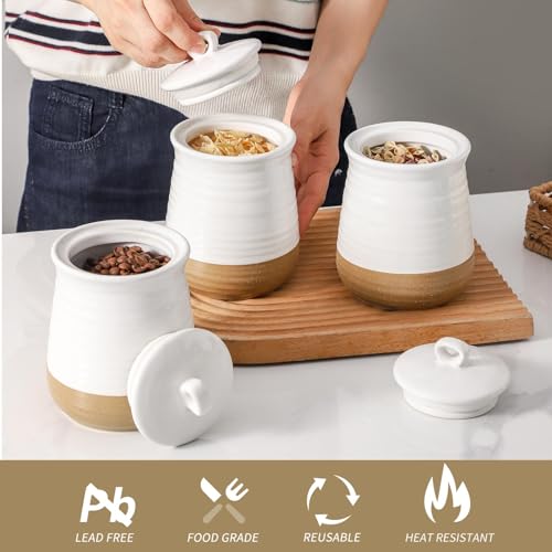 Ceramic Food Storage Jars (3 Count)