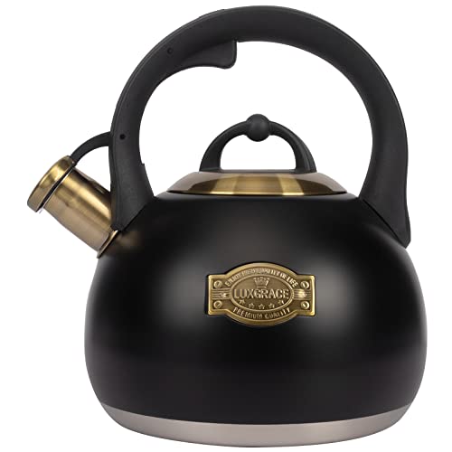 Tea Kettle for Stovetop