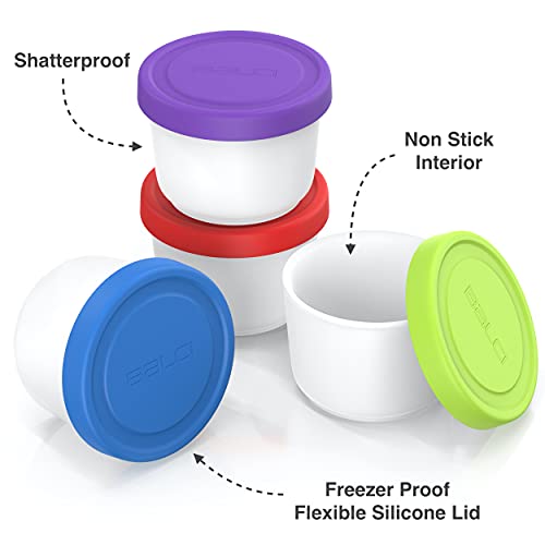 8oz Mini Ice Cream Containers (4 Count)