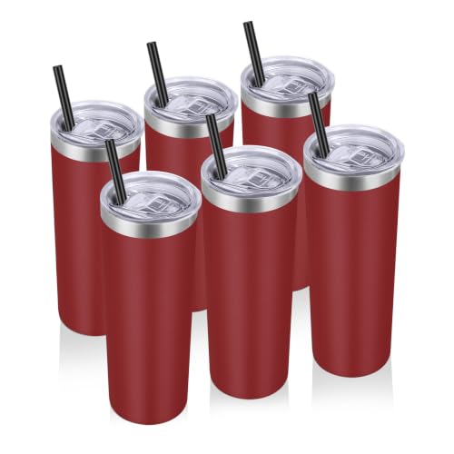 20 oz Stainless Steel Skinny Tumbler with Lids and Straws (6 Count)