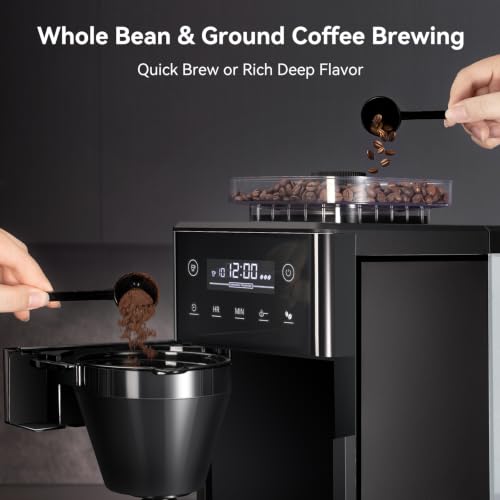 10 Cup Grind & Brew Coffee Maker